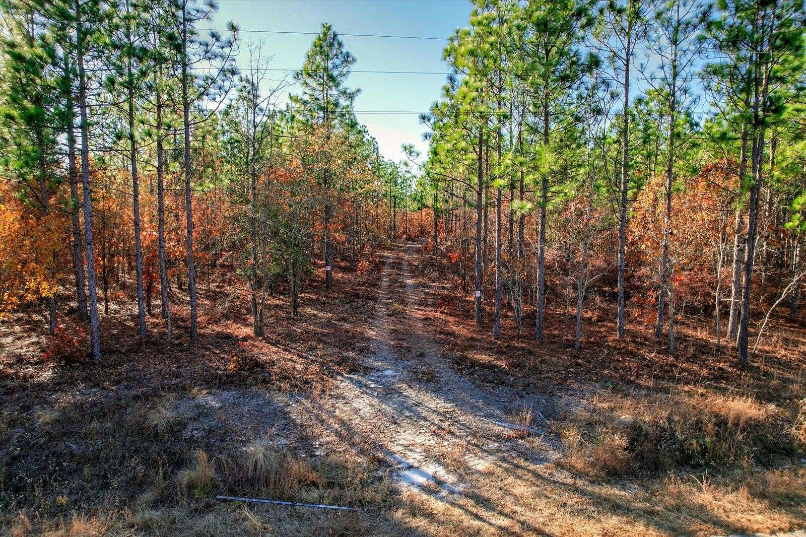 14.2 Acres of Recreational Land for Sale in Windsor, South Carolina