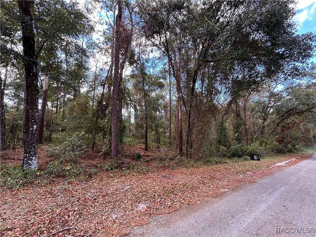 0.22 Acres of Residential Land for Sale in Inverness, Florida