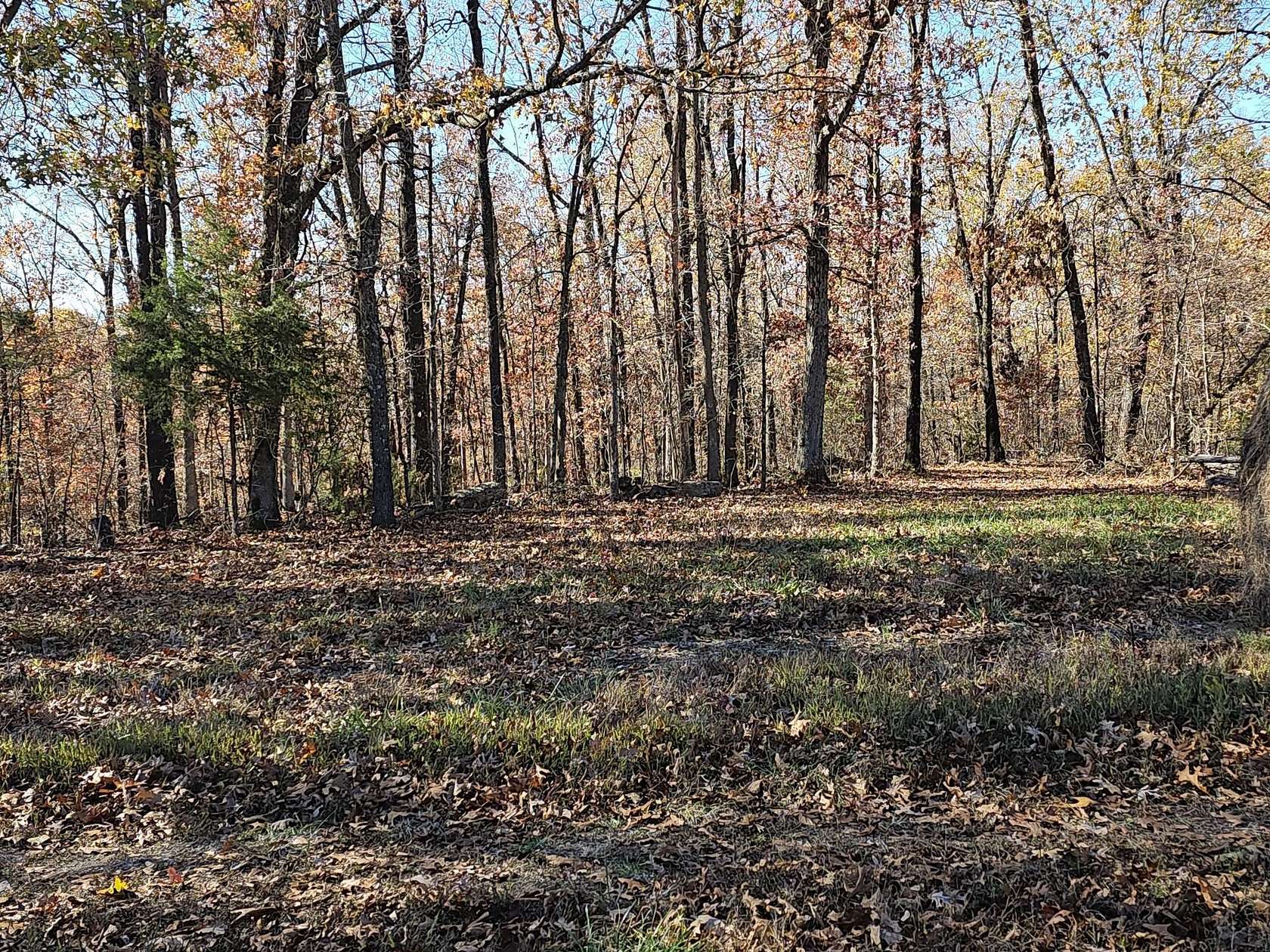 82 Acres of Land for Sale in Noel, Missouri