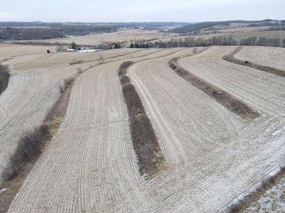 50 Acres of Land for Sale in Chatfield, Minnesota