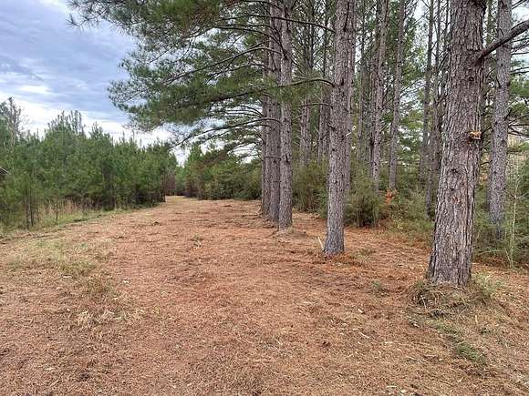 20 Acres of Land for Sale in Poplarville, Mississippi