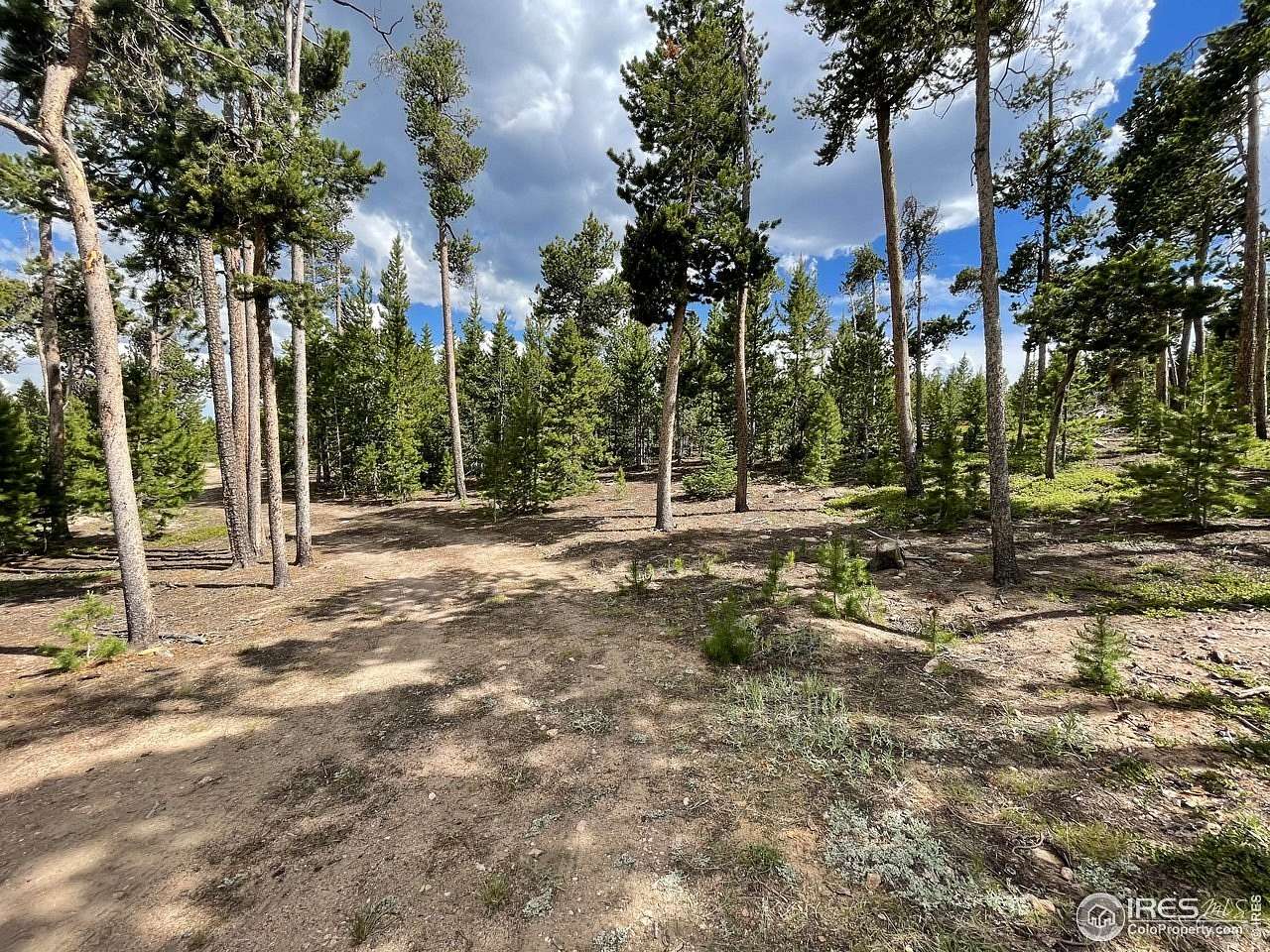 1.35 Acres of Land for Sale in Red Feather Lakes, Colorado