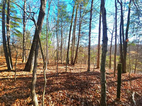 1.5 Acres of Land for Sale in Caldwell, West Virginia