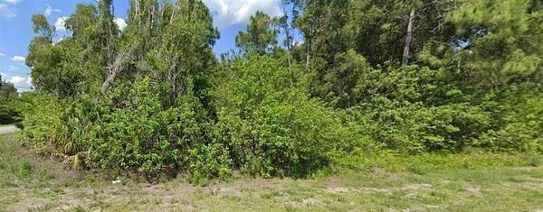 0.33 Acres of Residential Land for Sale in Lehigh Acres, Florida