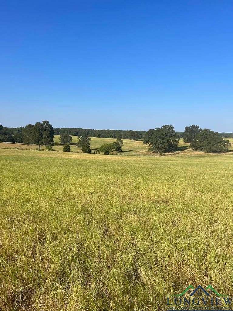 11.427 Acres of Recreational Land for Sale in Troup, Texas