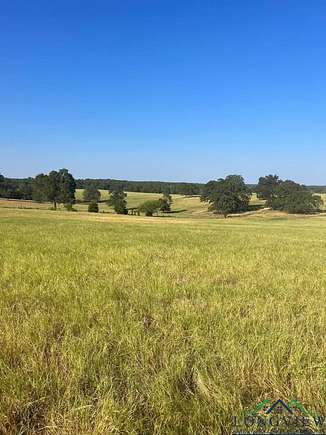 11.427 Acres of Recreational Land for Sale in Troup, Texas