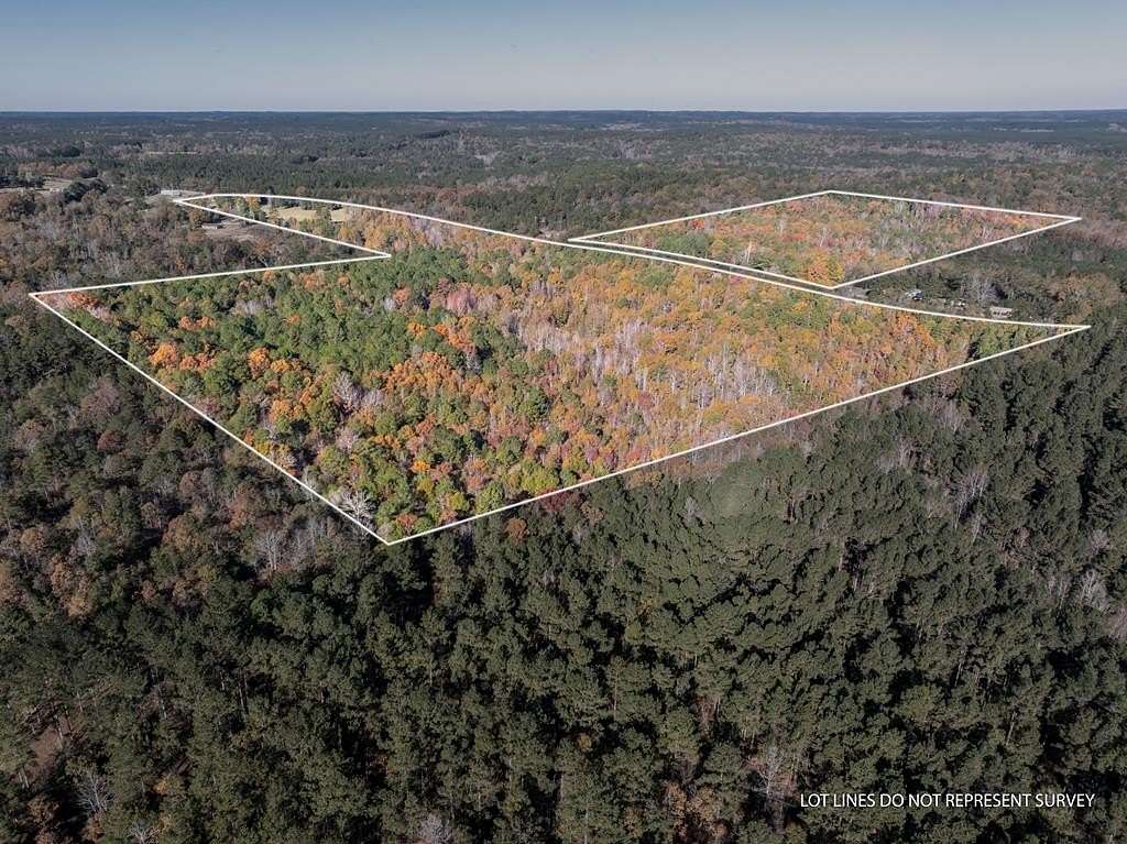 78.99 Acres of Recreational Land & Farm for Sale in Pachuta, Mississippi