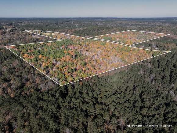 78.99 Acres of Recreational Land & Farm for Sale in Pachuta, Mississippi