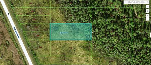 1 Acre of Land for Sale in Polk City, Florida