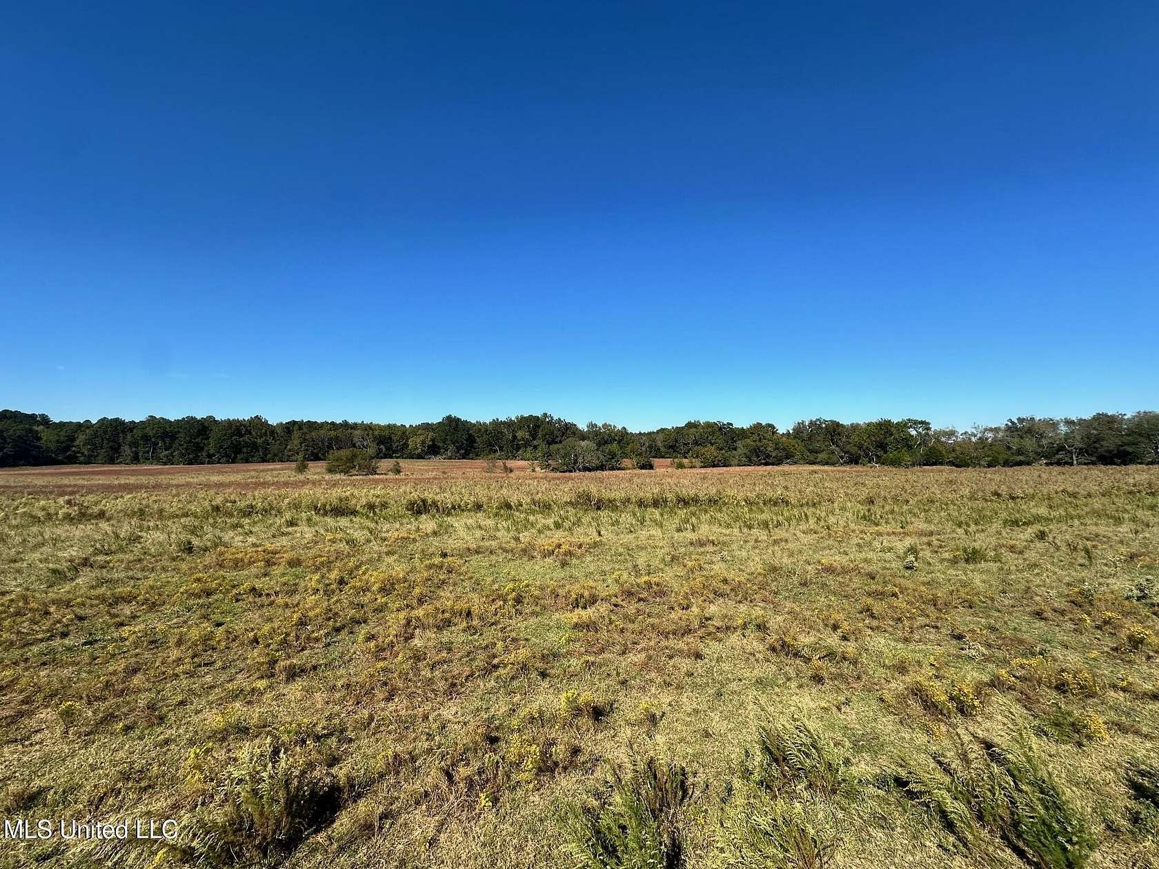 6.63 Acres of Residential Land for Sale in Canton, Mississippi