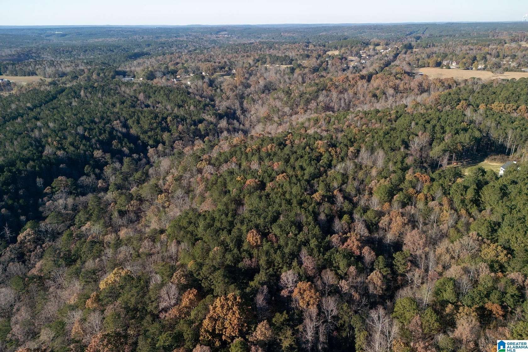 13.7 Acres of Land for Sale in Bessemer, Alabama