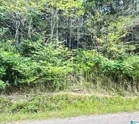 6.11 Acres of Residential Land for Sale in Hanceville, Alabama