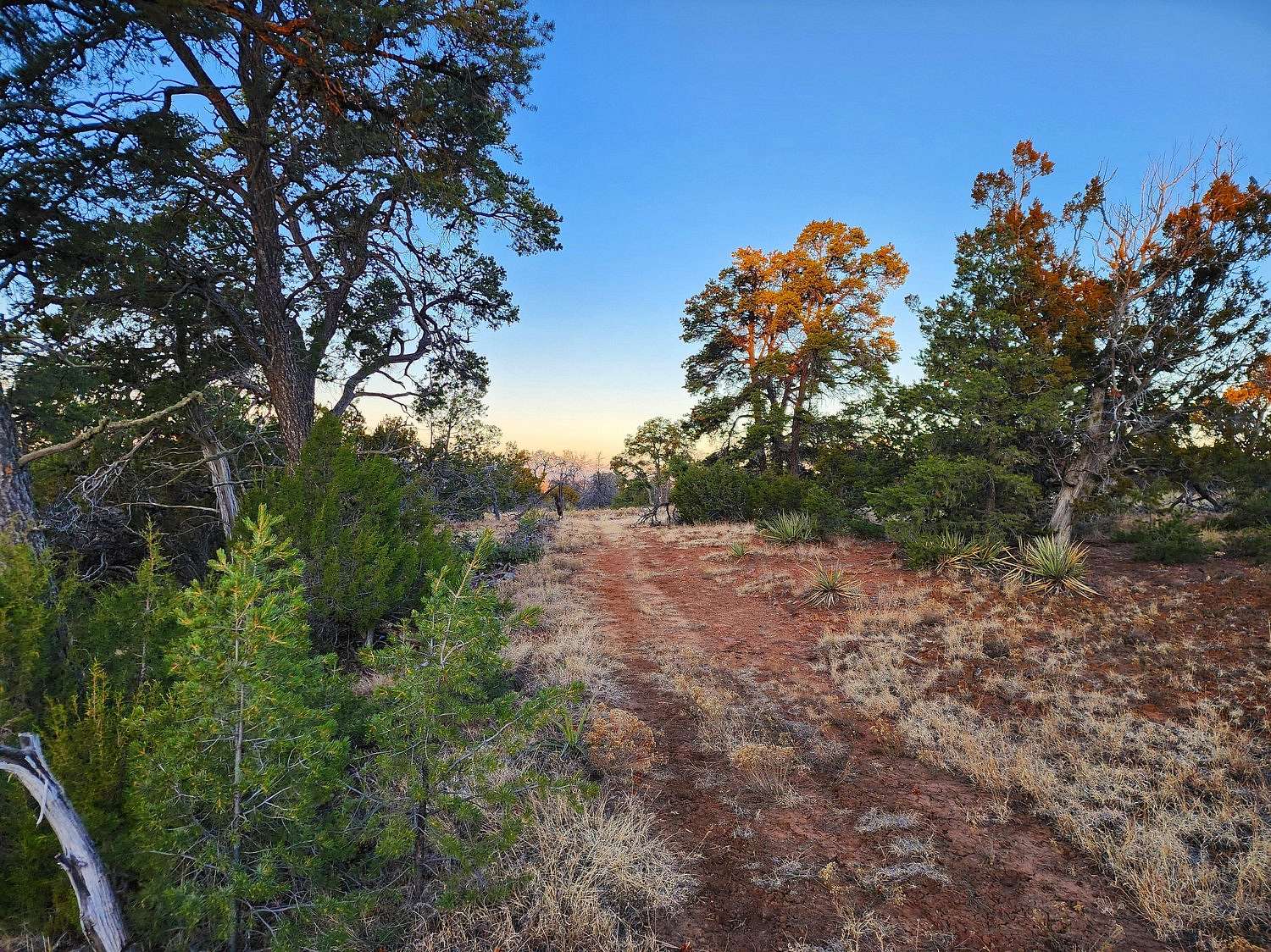 2.5 Acres of Residential Land for Sale in Pinehill, New Mexico