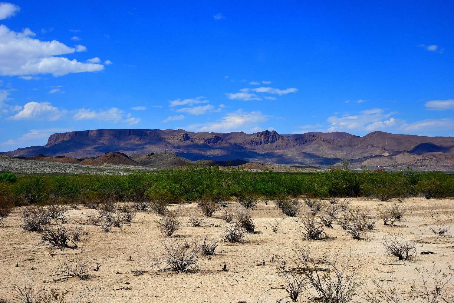 5 Acres of Residential Land for Sale in Terlingua, Texas