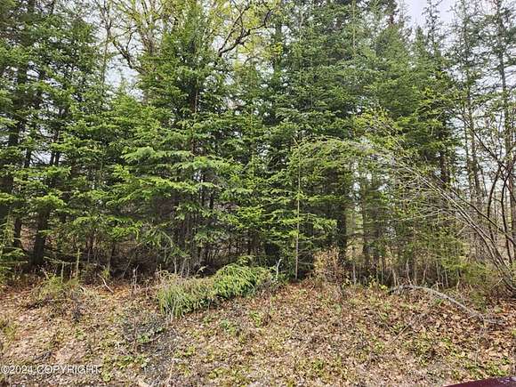 1 Acre of Land for Sale in Kenai, Alaska