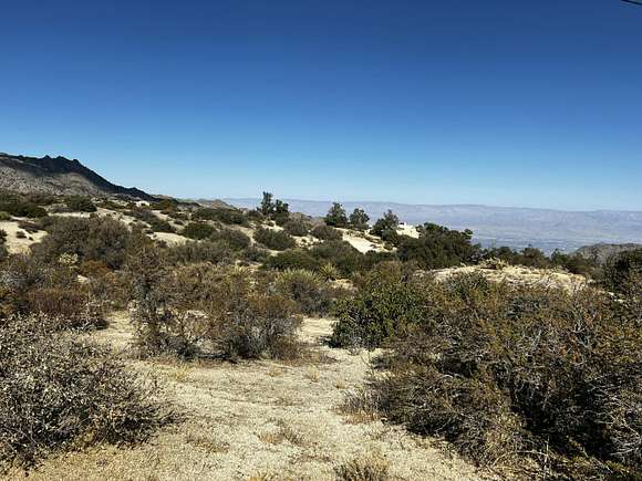 Residential Land for Sale in Mountain Center, California