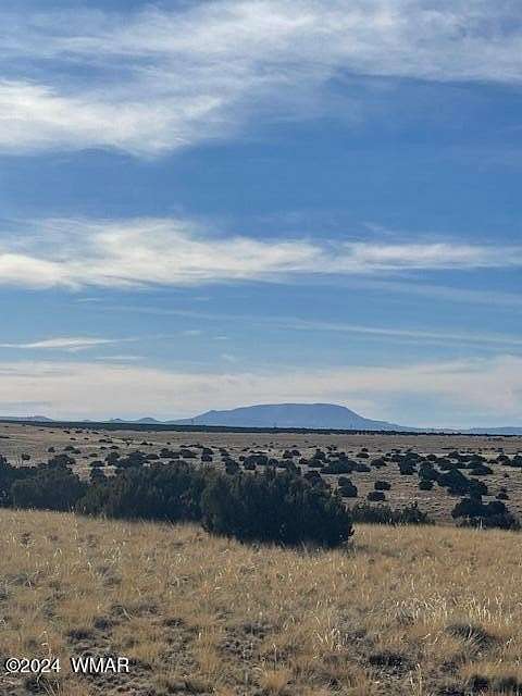 36.64 Acres of Recreational Land & Farm for Sale in St. Johns, Arizona