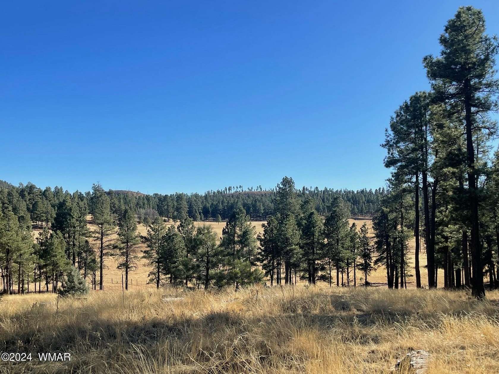 5.22 Acres of Residential Land for Sale in Alpine, Arizona