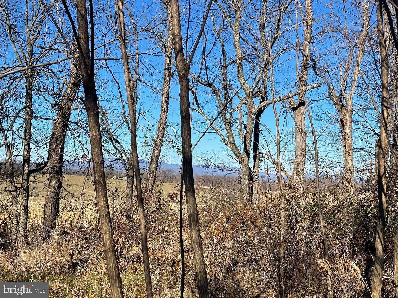 30 Acres of Recreational Land for Sale in Staunton, Virginia