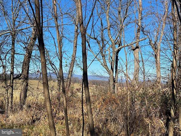 30 Acres of Recreational Land for Sale in Staunton, Virginia