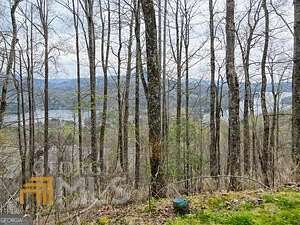 0.41 Acres of Land for Sale in Clayton, Georgia