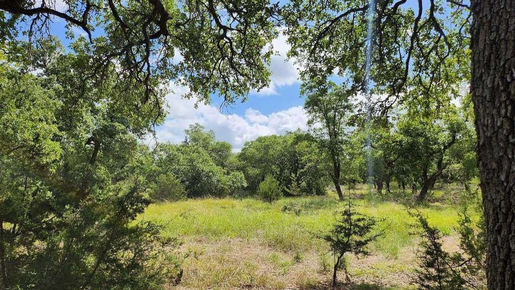 Land for Sale in Florence, Texas