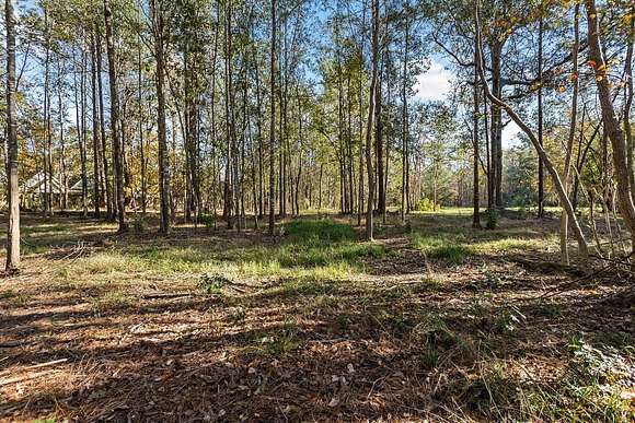 1.47 Acres of Residential Land for Sale in Lumberton, Texas