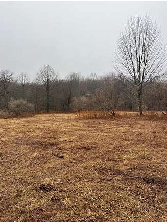 20.9 Acres of Agricultural Land for Sale in Blooming Grove, New York