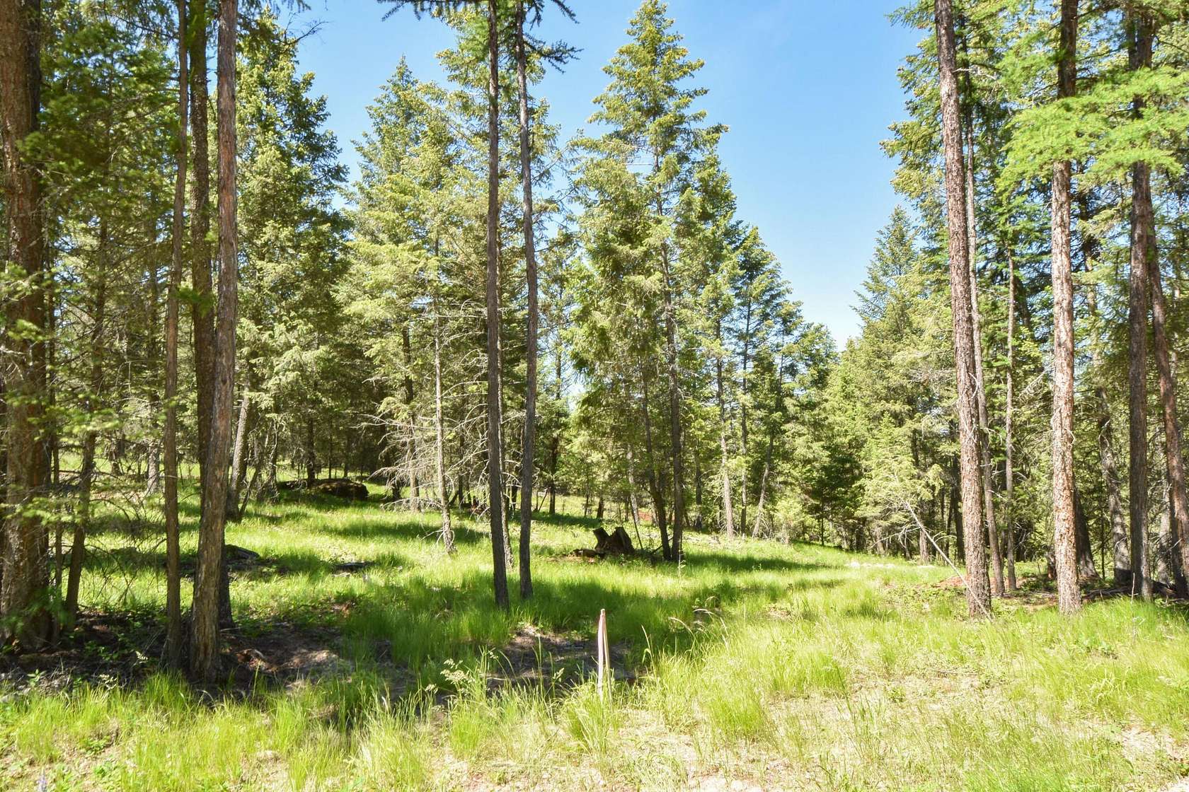 3.06 Acres of Residential Land for Sale in Eureka, Montana