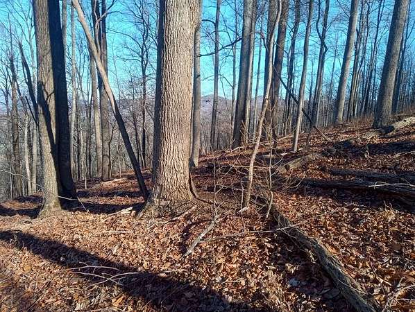 0.55 Acres of Land for Sale in Ellijay, Georgia