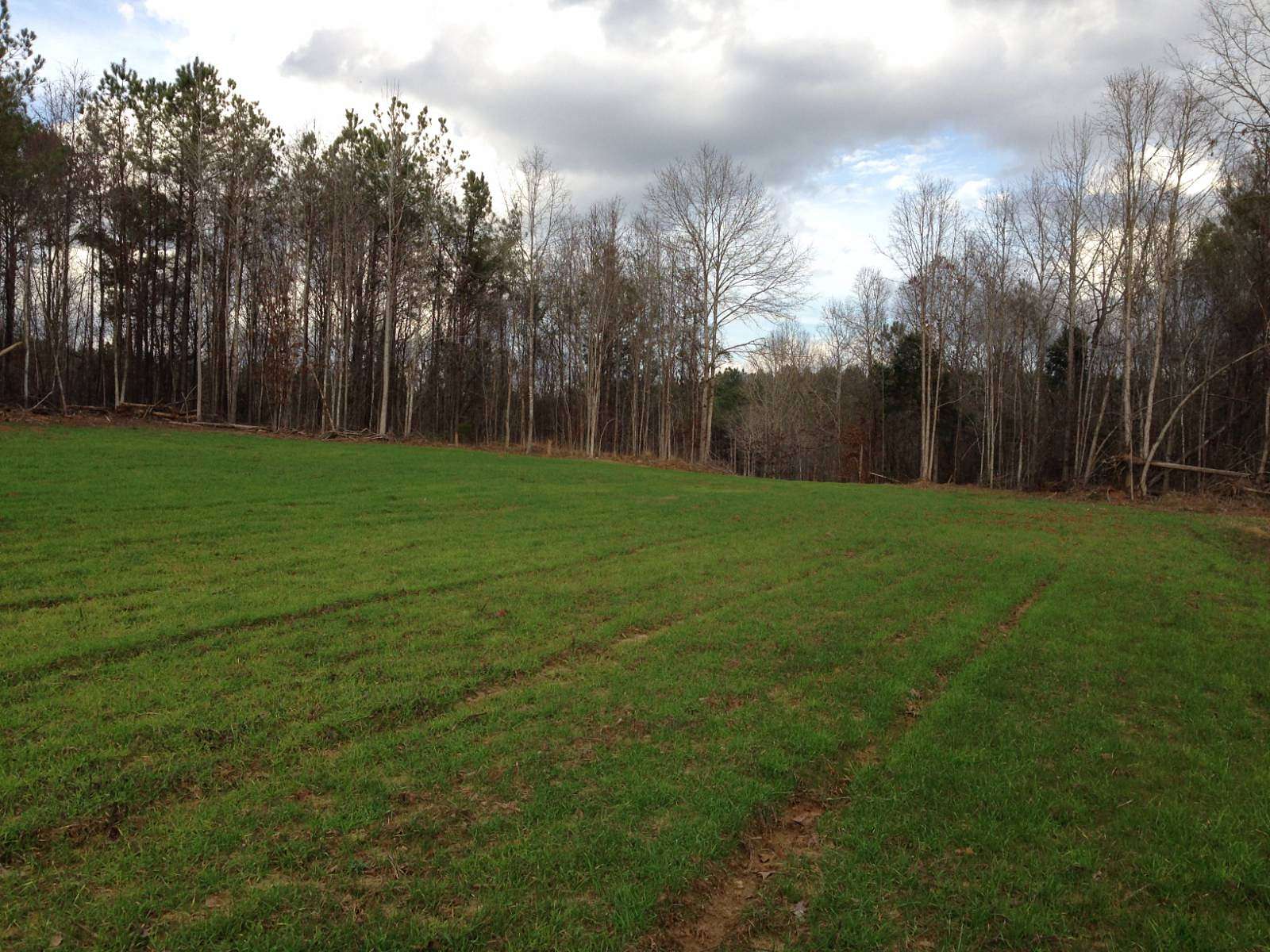 40 Acres of Recreational Land for Sale in Demopolis, Alabama