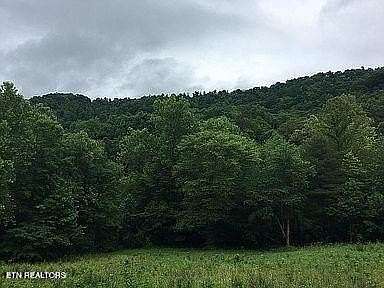 335 Acres of Recreational Land for Sale in Oneida, Tennessee