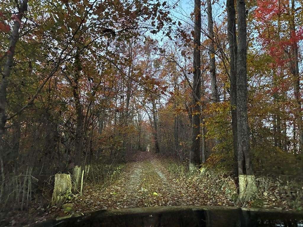 20.38 Acres of Land for Sale in Silver Point, Tennessee