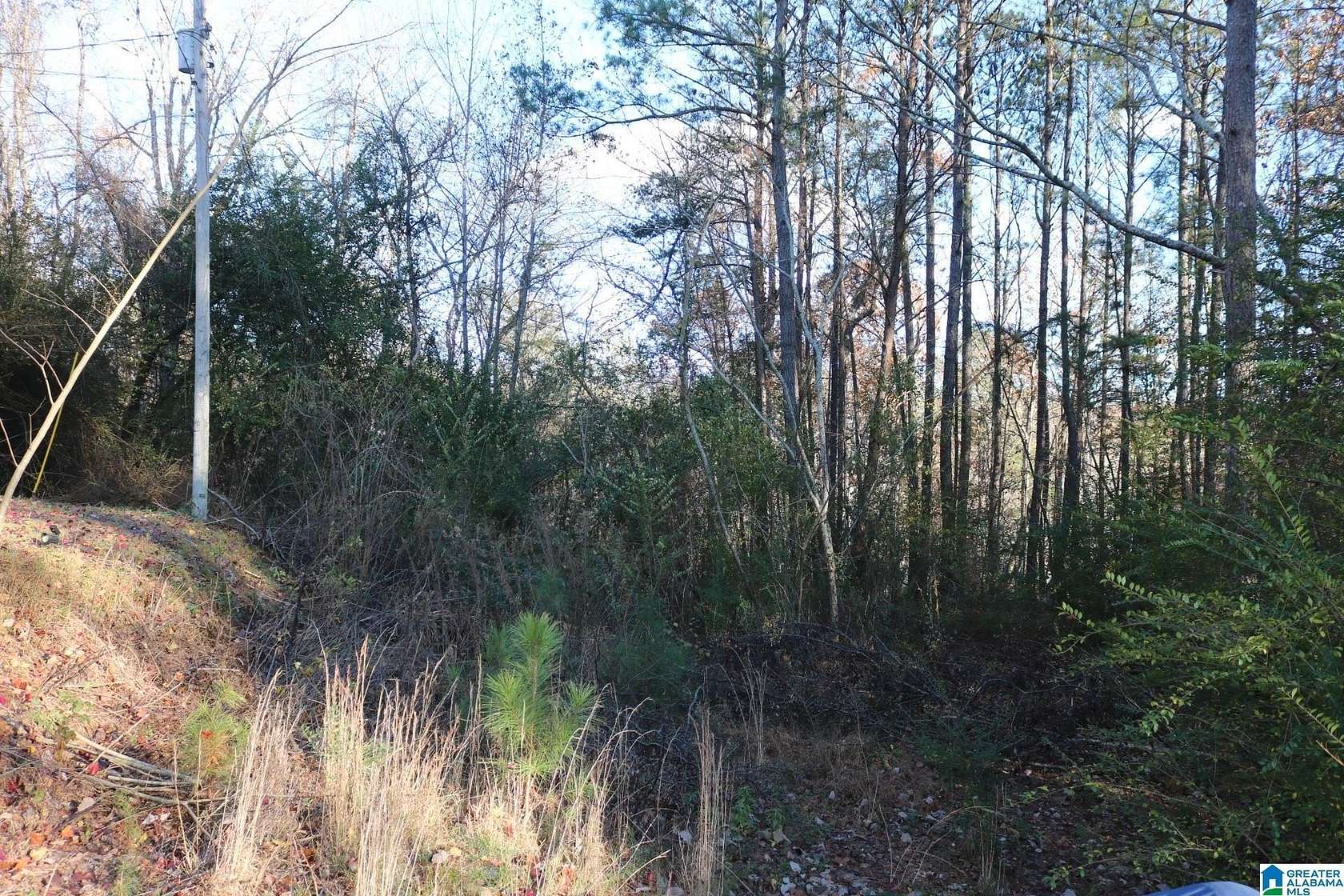 11.37 Acres of Land for Sale in Concord, Alabama