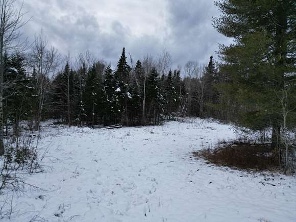 13.7 Acres of Recreational Land for Sale in Webster Plantation, Maine