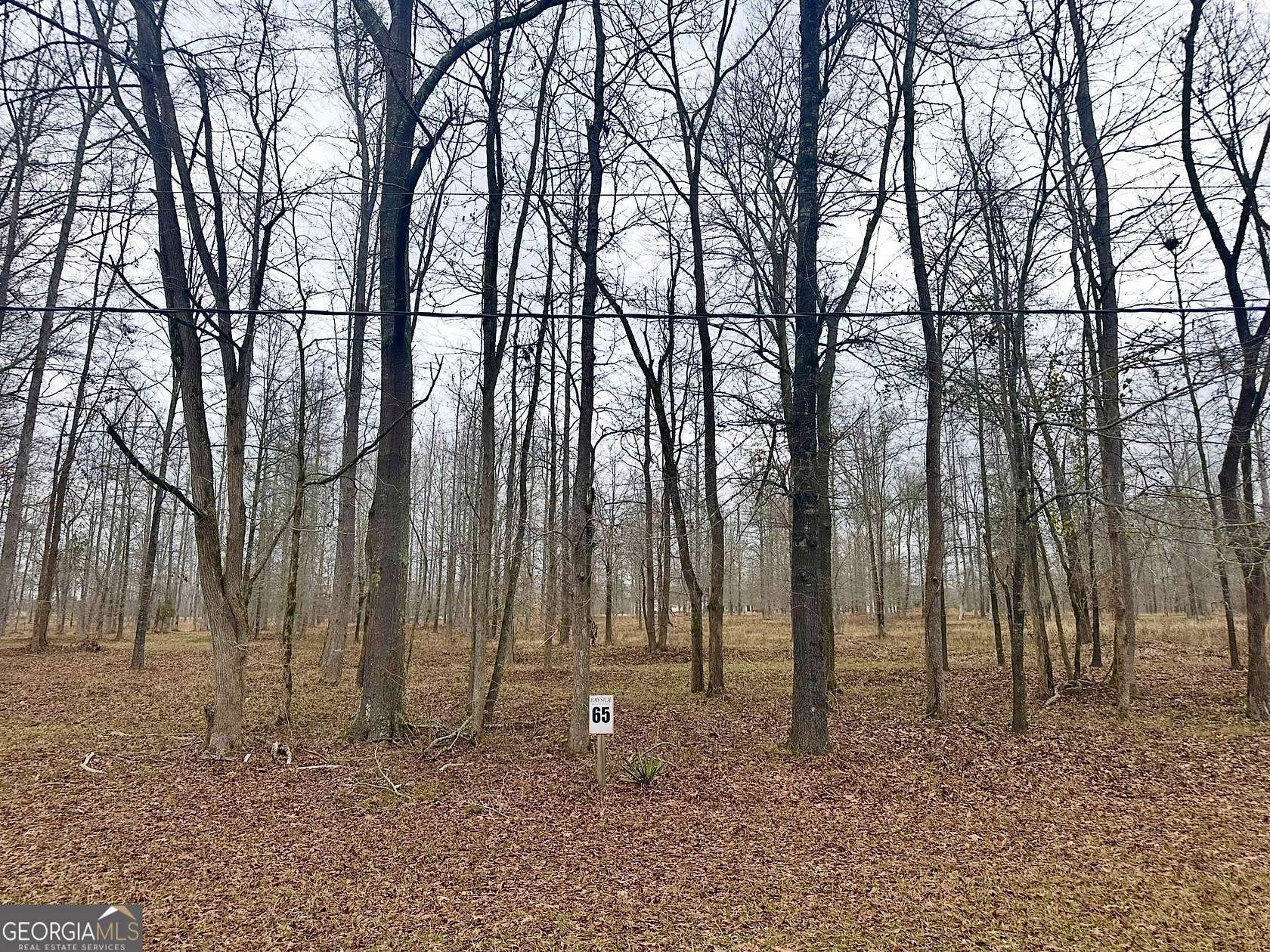 2.83 Acres of Residential Land for Sale in Greensboro, Georgia