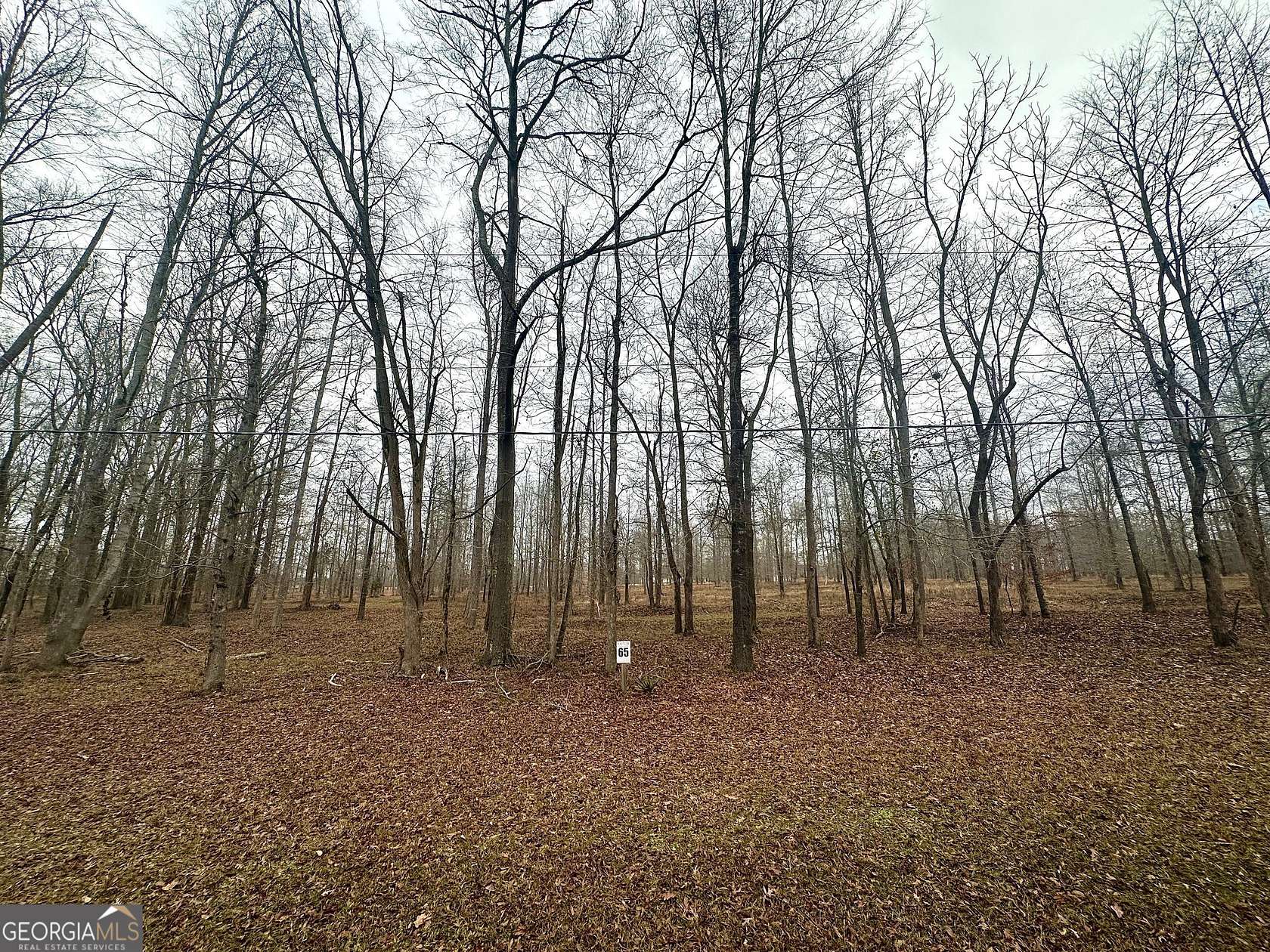 2.83 Acres of Residential Land for Sale in Greensboro, Georgia