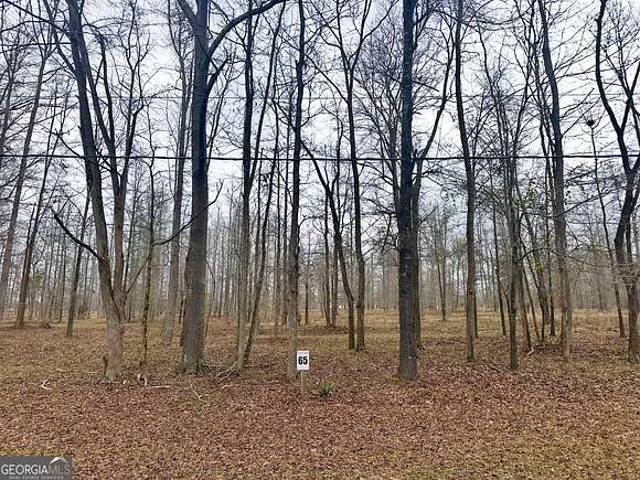 2.83 Acres of Residential Land for Sale in Greensboro, Georgia