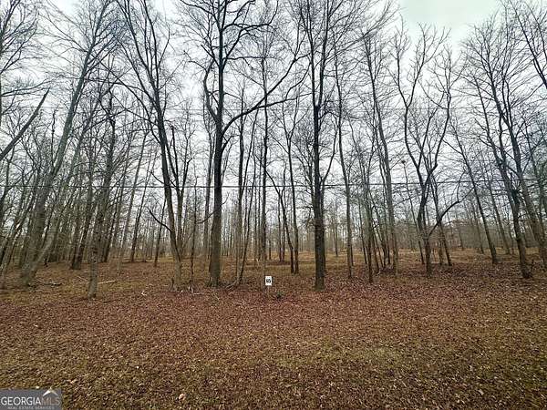 2.83 Acres of Residential Land for Sale in Greensboro, Georgia