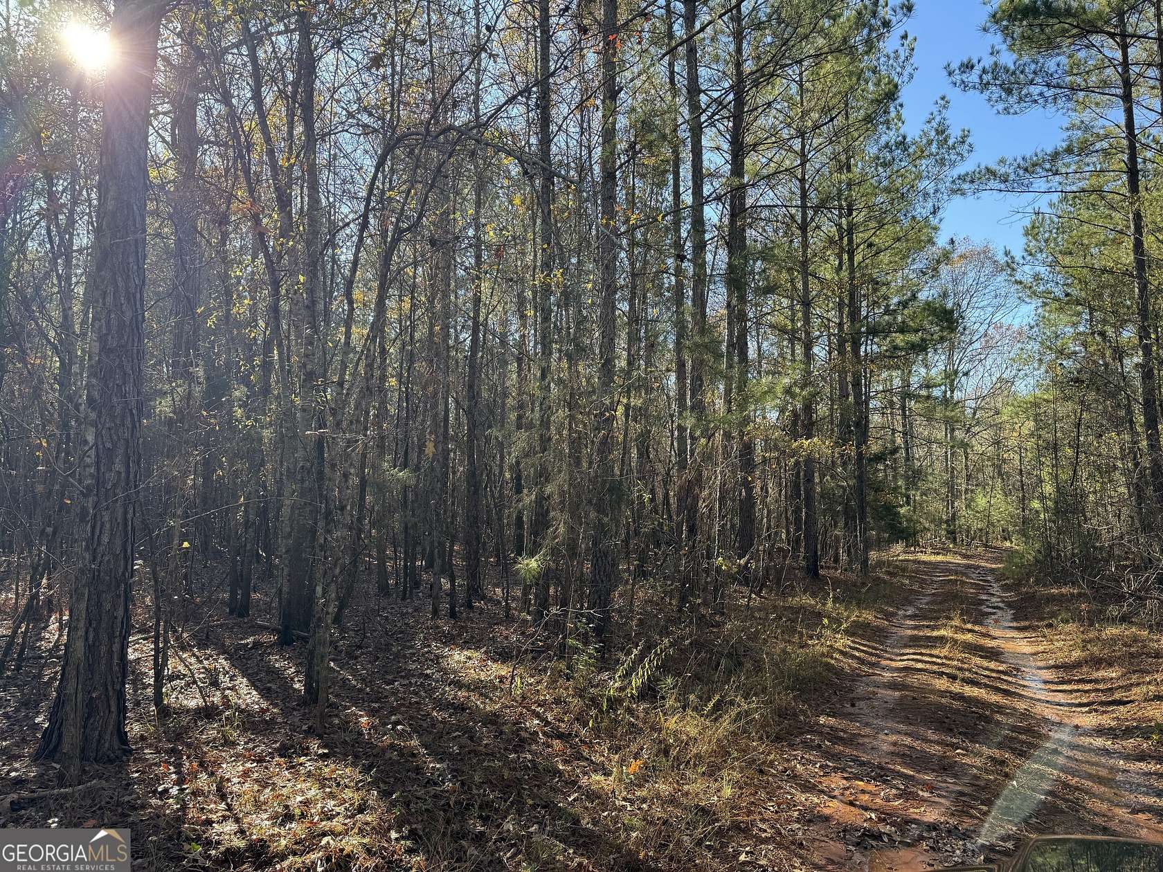 115 Acres of Recreational Land for Sale in Monticello, Georgia