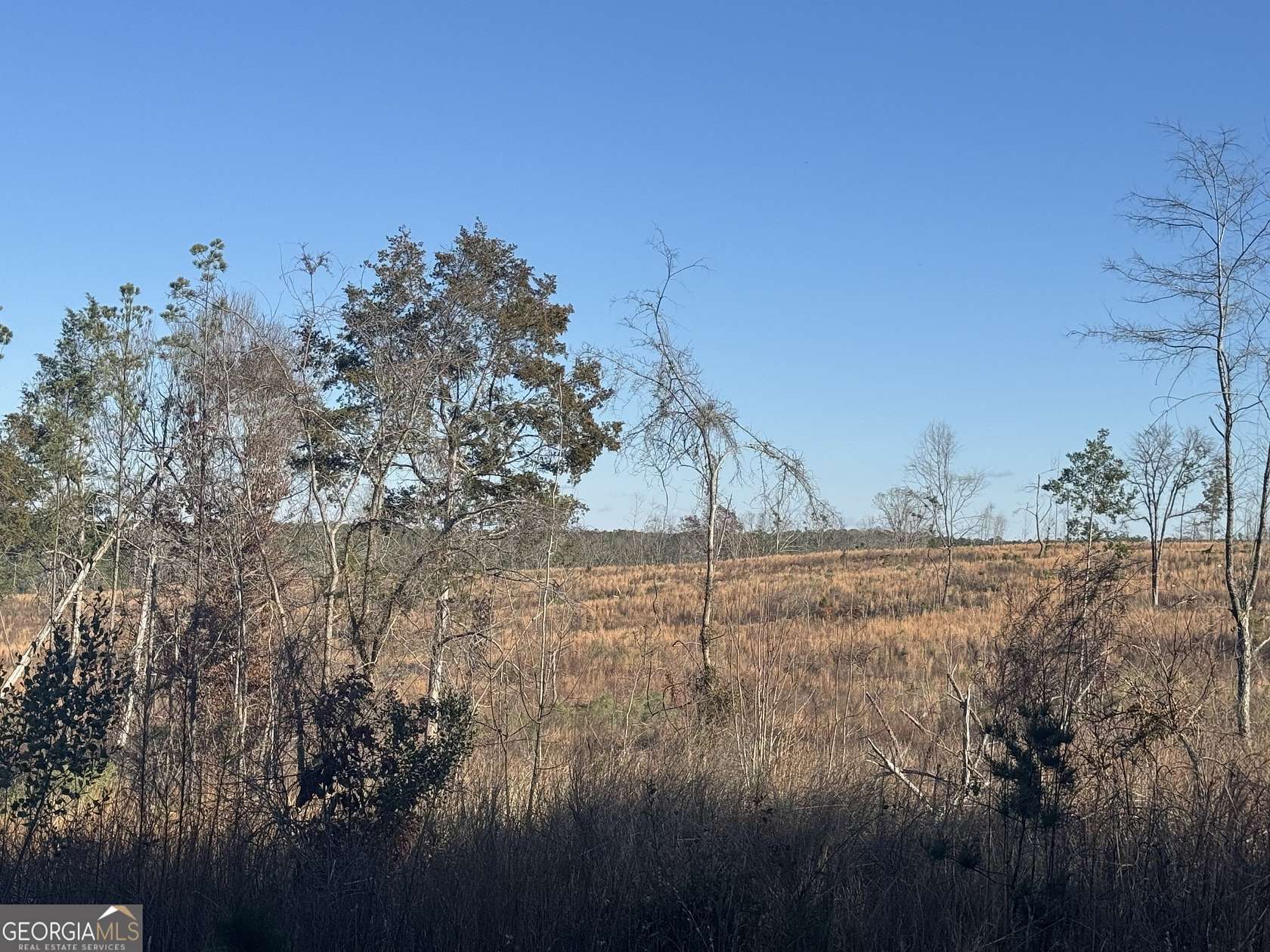 31 Acres of Land for Sale in Monticello, Georgia