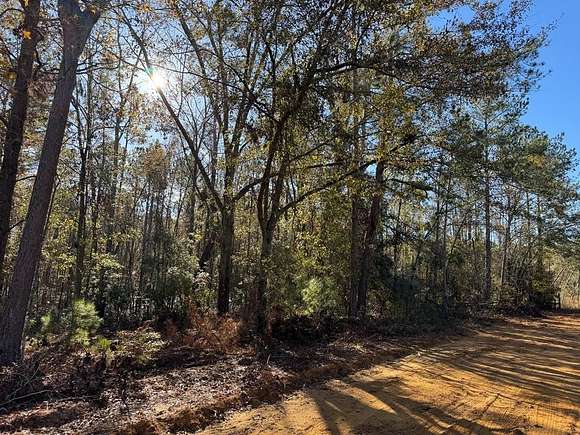 6.08 Acres of Land for Sale in Lyons, Georgia