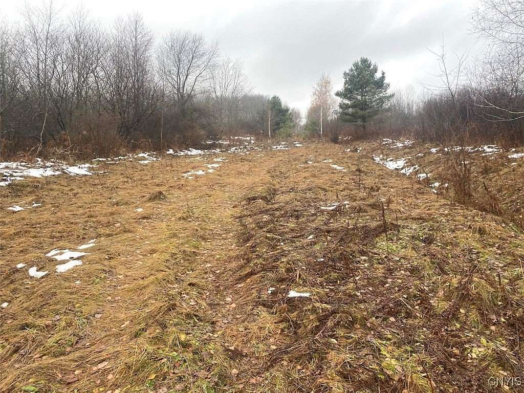 63.1 Acres of Recreational Land for Sale in Friendship, New York