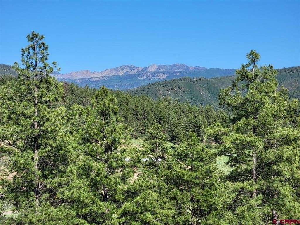 80 Acres of Land for Sale in Pagosa Springs, Colorado