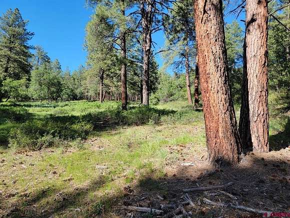 80 Acres of Land for Sale in Pagosa Springs, Colorado