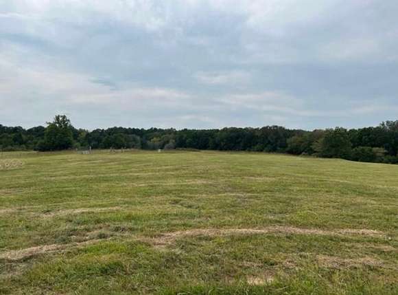 18.66 Acres of Land for Sale in Licking, Missouri