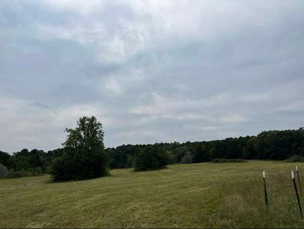 19 Acres of Land for Sale in Licking, Missouri
