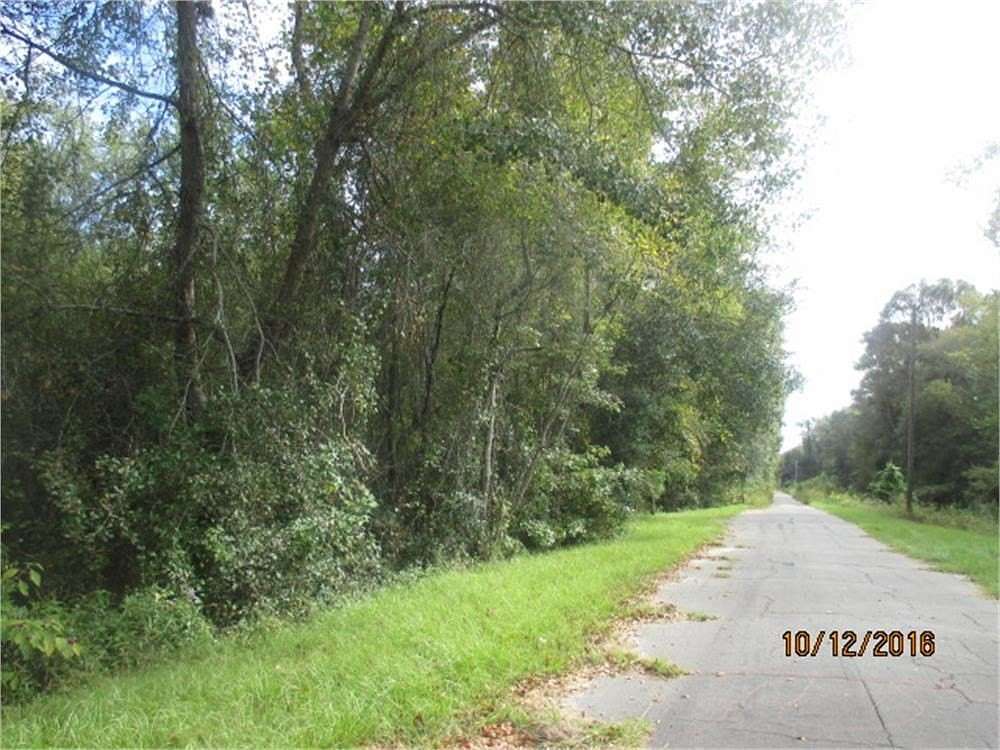 20 Acres of Recreational Land for Sale in Quitman, Georgia