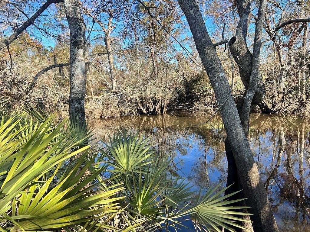 196 Acres of Recreational Land for Sale in Alapaha, Georgia