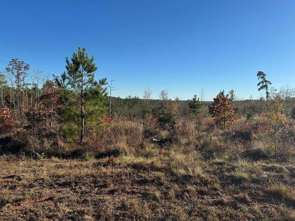 9 Acres of Residential Land for Sale in Bainbridge, Georgia